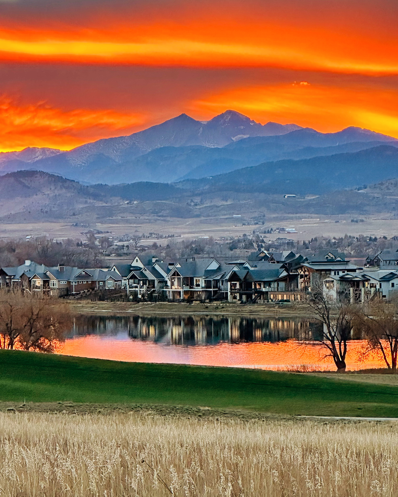 03F9E3E1-5FD5-438E-89A5-8FF2BEA3B996_1_102_o